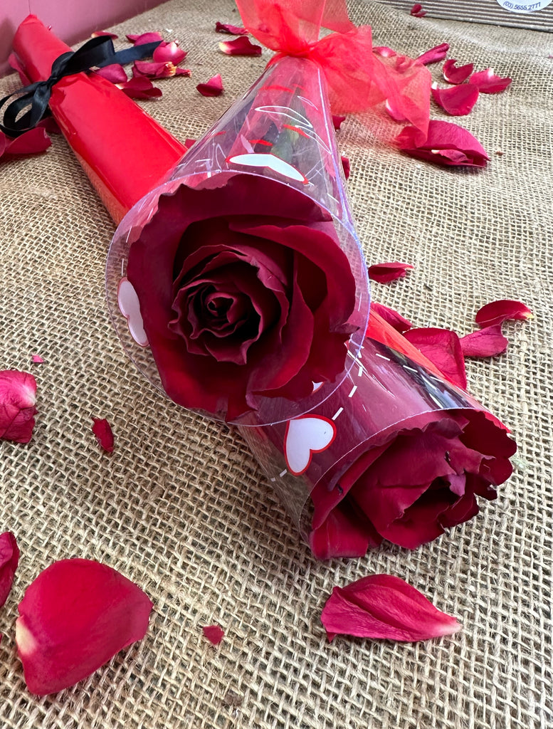 A single long-stemmed Rose in a pretty heart tube. Wrapped or unwrapped.