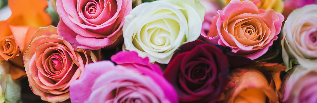 Our Flower Delivery Area