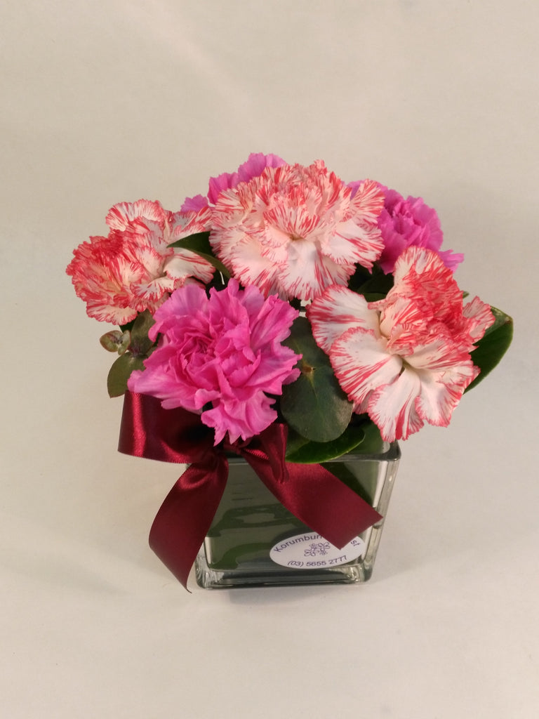 Sim Carnations in square vase